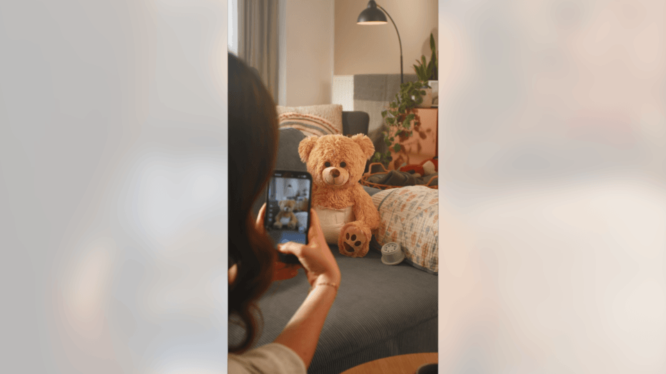 LAS GAFAS FILMS LIWEST TEDDY
